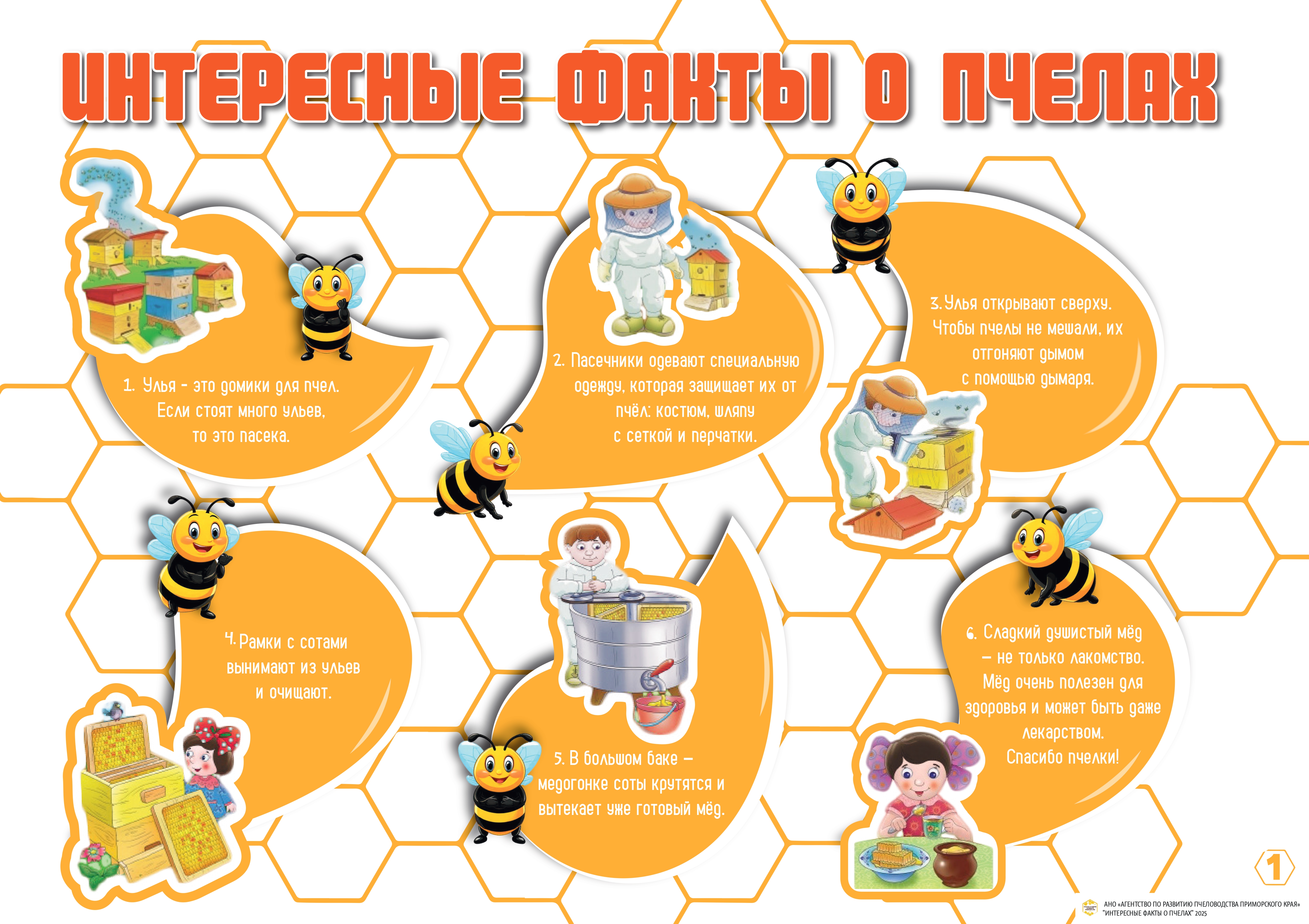 Польза меда